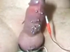 Hands free e-stim torture to my pierced dick