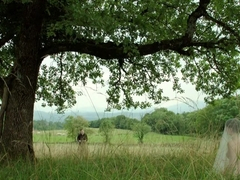 Fou D'Amour (2015) Diane Rouxel, Nathalie Tetrel