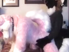 Fabulous Webcam video