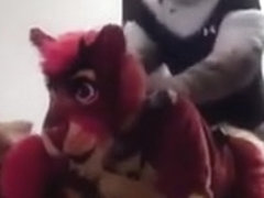 Kickstart fucking Hell-O-Kitty