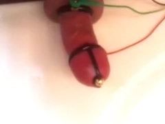 CUMMING while estimming