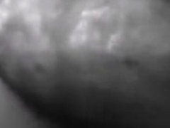 Sum head Black nWhite