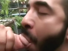 Papa bear sucks cock in public