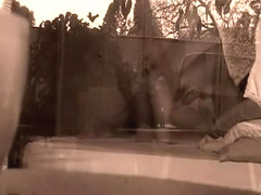 what the neighbors saw