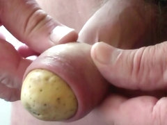 Foreskin potato