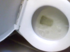 toilet pee 2