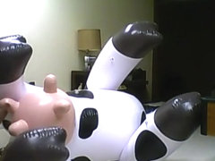 naughty cow part 1