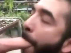 Eager gay guy blows stud in green house in front of the camera