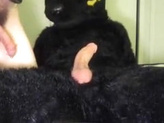 Mushu and Ank Playtime