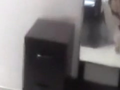 Crazy Amateur record