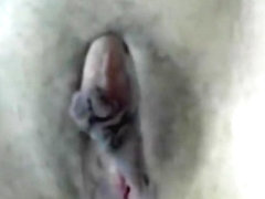 AshleyDoll shows her pussy