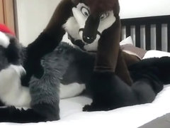 Felix Pounces Martini (Fursuit Sex)