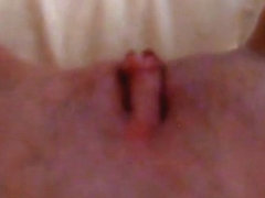 Fabulous Cunnilingus, Amateur porn scene