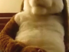 Fursuit Masturbation