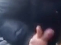 Blowjob in the Car