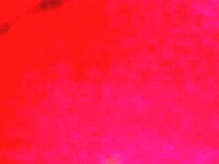 Video 129 Sex Trio in Bulgaria