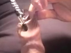 11 Cockrings in 4skin (reload)