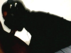 O retorno do escravo fuj&atilde_o 1 cap&iacute_tulo ( novos cap&iacute_tulos) DOMINADOR MACHO ATIV.