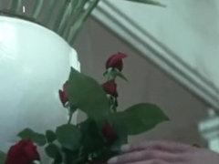 Roses for Zingara (1970) - (Movie Full) - MKX
