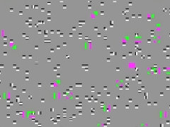 Justin Lee and Kelly Sex Video