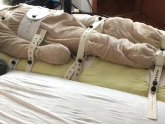 How to milk a plush bear