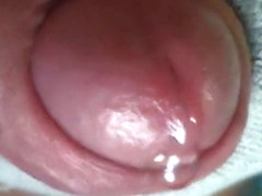 Closeup cumshot