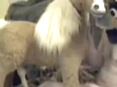 Animatronic Pony Sex