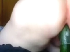 le concombre ??? en salade ???