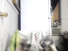 Jay pulmper teen from live cam