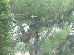 Piper Austin plowed in her hot snatch