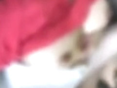etgasvvfcg
