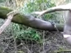 Training Run: Ginch Mud Baths