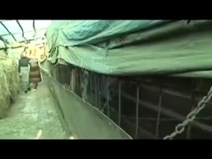 Lustful Fury Grannies Bad Behavior