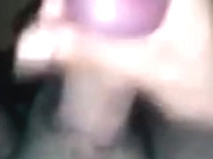 SEXY STALLION (WILD HORSE)