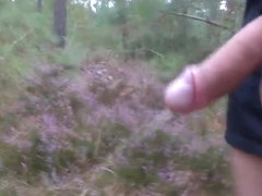 Walk - Masturbation - Piss