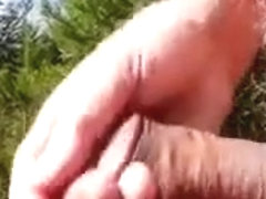 A wank in the spring sun