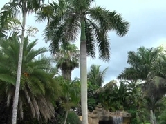 Jmac has fun with sexy big boobed Skylar