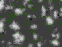 Carlos Leão colocando tudo