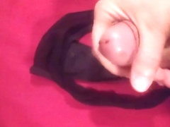 stroking until I cum in her panties, a tribute