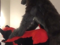 Darkwingo fucks a wolfboi in hotel room