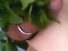 nettles 2015 - part 3