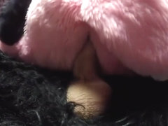 Pink Girly Fox Gets Filled of Foxy Cum