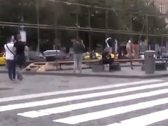 Asses on show in public