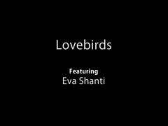 Babe tastes a throbbing dick