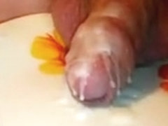 wax auf eichl und teler